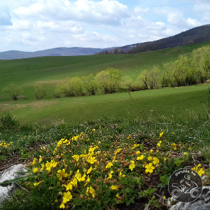 Zöld erdőben jártam... túra